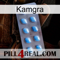 Kamgra viagra3